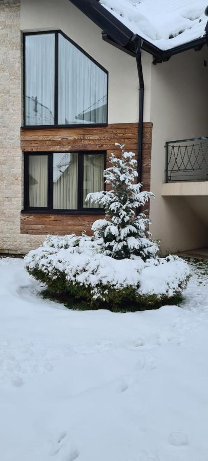 Cozy Corner Apartment *